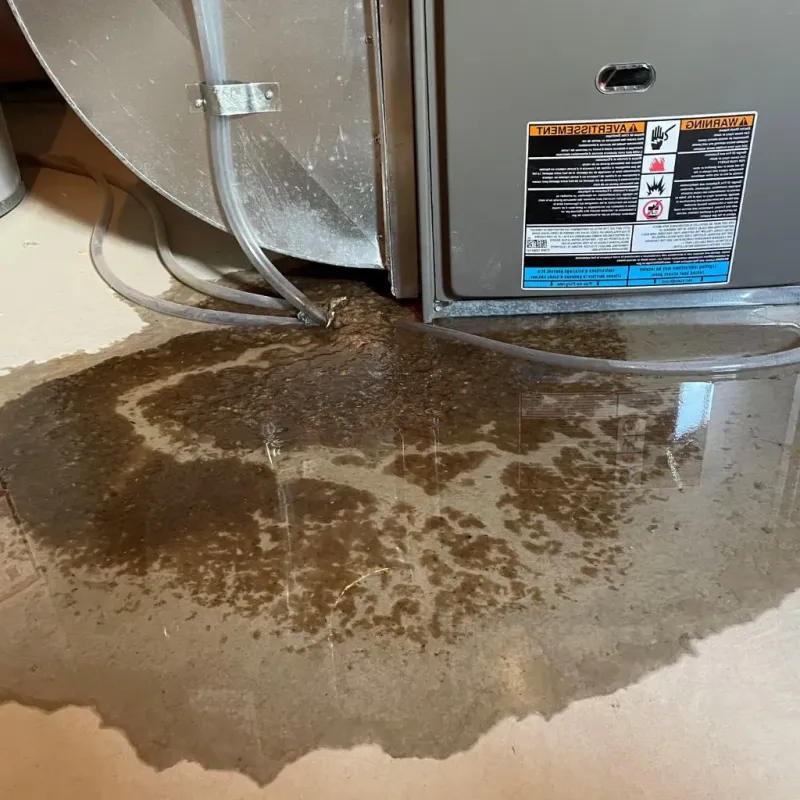 Pipe Burst and Leak Restoration in Ellicott City, MD